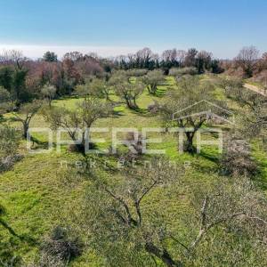 Tar – zemljište za izgradnju stambenih zgrada ili obiteljskih kuća