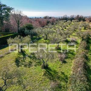 Tar – zemljište za izgradnju stambenih zgrada ili obiteljskih kuća