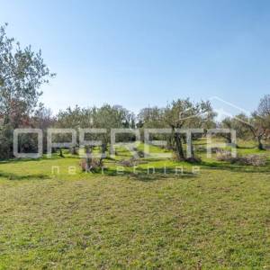 Tar – zemljište za izgradnju stambenih zgrada ili obiteljskih kuća