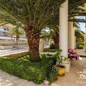 Umag Crveni Vrh. Alberi. Jedinstvena luksuzna nekretnina na samo obali mora. Pogled na Piran.