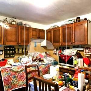 Velika kuća – odlična za co-living projekt