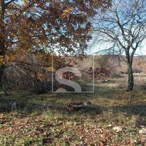 Veliko građevinsko zemljište u okolici Bala