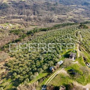 Veliko imanje od 170 000 m2 s predivnim pogledom