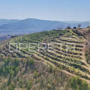 Veliko imanje od 170 000 m2 s predivnim pogledom