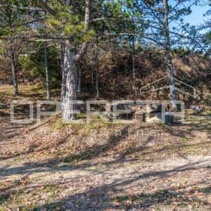 Veliko imanje od 170 000 m2 s predivnim pogledom