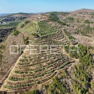 Veliko imanje od 170 000 m2 s predivnim pogledom