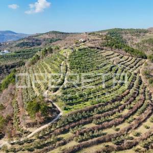 Veliko imanje od 170 000 m2 s predivnim pogledom