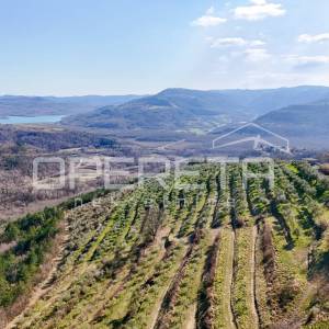 Veliko imanje od 170 000 m2 s predivnim pogledom