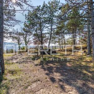 Veliko imanje od 170 000 m2 s predivnim pogledom