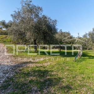 Veliko imanje od 170 000 m2 s predivnim pogledom