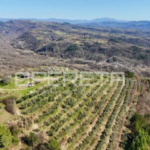 Veliko imanje od 170 000 m2 s predivnim pogledom