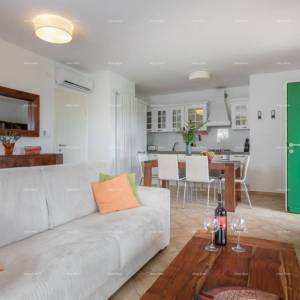 VILA S DVA APARTMANA I BAZENOM,  OKOLICA LABINA