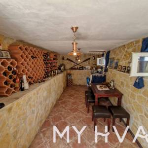 Vila sa bazenom u Vitarnji