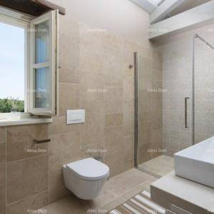 Villa u okolici Žminja