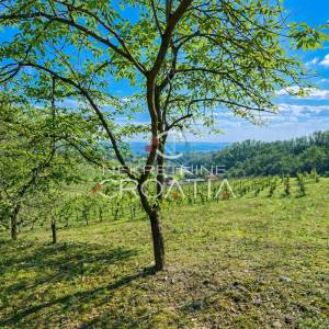VINICA, KUĆA ZA ODMOR