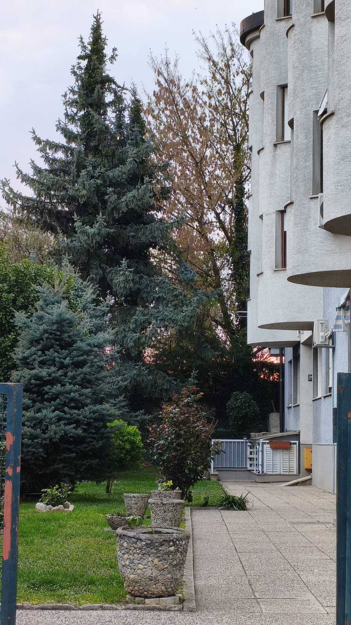 Voltino- pet friendly stan