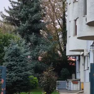 Voltino- pet friendly stan