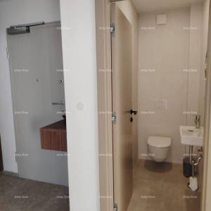 Vrhunski trosoban stan s vrtom i bazenom, namješten