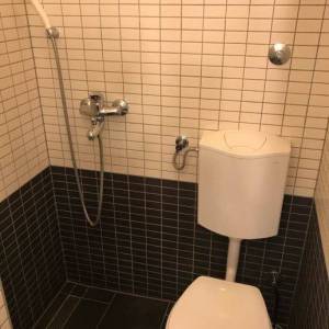 Zagreb-Kustošija, garsonijera 30m2 u prizemlju kuće, zaseban ulaz