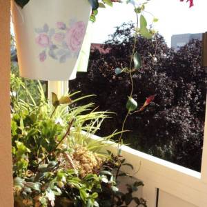 Zagreb, Trešnjevka-Zvonigradska, 2S stan 56m2, II. kat, parking