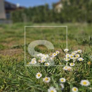 Započeta gradnja - Vila s bazenom