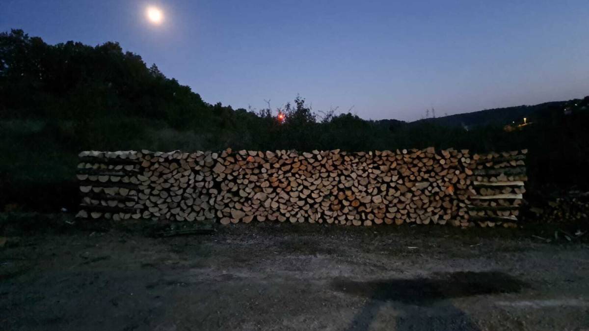 Zapušteno dvorište? Previsoka trava? Trebate drva za zimu? Nazovite!