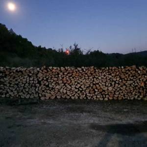 Zapušteno dvorište? Previsoka trava? Trebate drva za zimu? Nazovite!