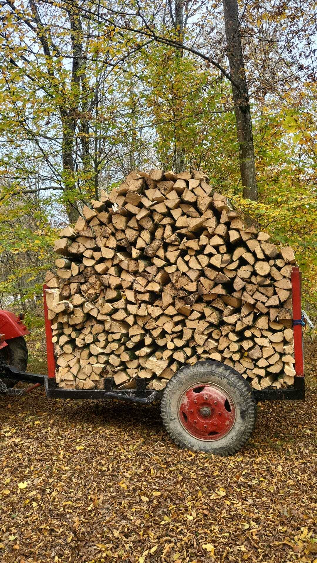 Zapušteno dvorište? Previsoka trava? Trebate drva za zimu? Nazovite –