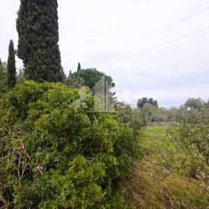 Ždrelac – zemljište za kuću ili vilu, 160 m od mora