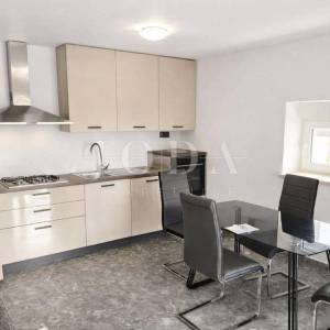 Žminj, okolica, renovirana, autohtona istarska kuća