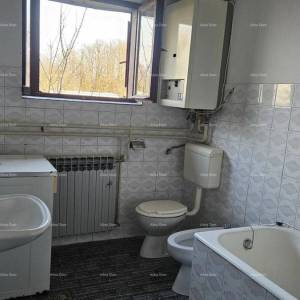 ŽMINJ (okolice) - odlična kamena kuća s dvorištem