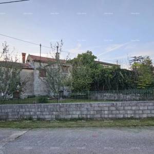 ŽMINJ (okolice) - odlična kamena kuća s dvorištem