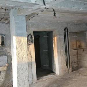 ŽMINJ (okolice) - odlična kamena kuća s dvorištem