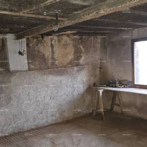 ŽMINJ (okolice) - odlična kamena kuća s dvorištem