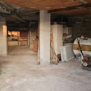 ŽMINJ (okolice) - odlična kamena kuća s dvorištem