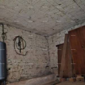 ŽMINJ (okolice) - odlična kamena kuća s dvorištem