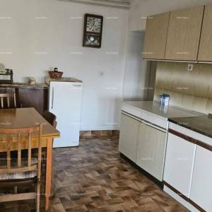 ŽMINJ (okolice) - odlična kamena kuća s dvorištem