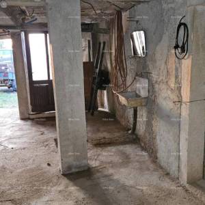 ŽMINJ (okolice) - odlična kamena kuća s dvorištem