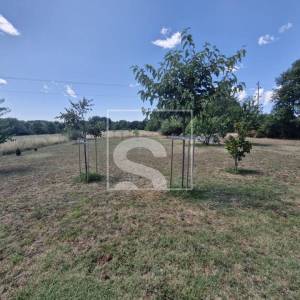 Žminj! Prekrasna kuća koja traži novog vlasnika!!!!