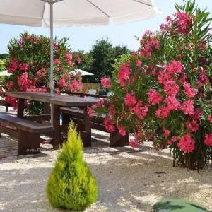 Apartmanski objekt s bazenom na odličnoj lokaciji, s pogledom na more u Medulinu