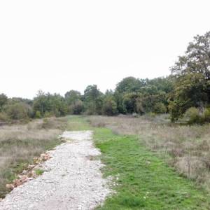 Blizina Svetvinčenta!