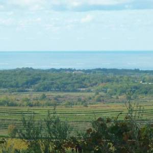 Buje –  atraktivno zemljište s pogledom na more