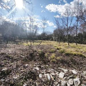 Buje – građevinsko zemljište 1.086 m² s pogledom na more