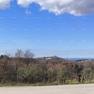 Buje – građevinsko zemljište 1.086 m² s pogledom na more