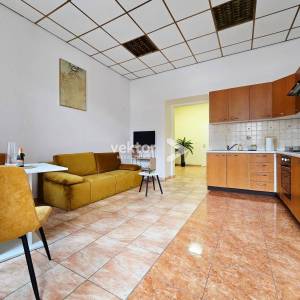 Centar, 40m2, 1-soban stan za investiciju