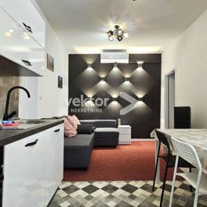 Centar, adaptiran 2-soban s dnevnim boravkom, za investiciju