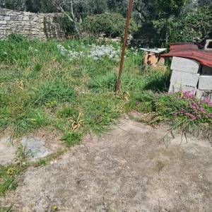 Galižana – kuća s više objekata i velikim potencijalom za obnovu