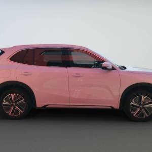 Geely Starray EM-i MAX 1.5 GAS PHEV A/T FWD