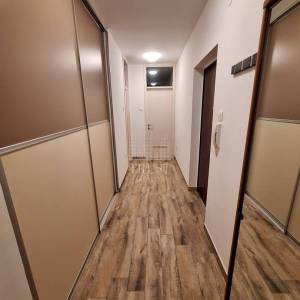 GORNJA VEŽICA, 1S+DB za najam