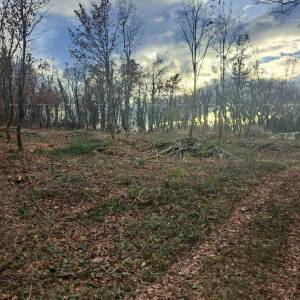 Građevinsko zemljište 1150 m², Kringa, Tinjan